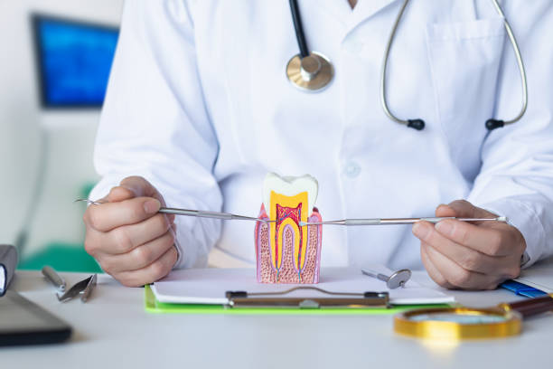 Best Emergency Dental Services for Seniors in Sutton, NE